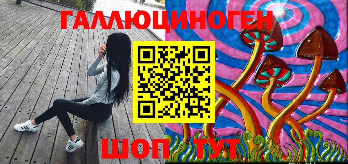 Псилоцибиновые грибы Psilocybe  Вход с VPN  Красногорск  Галлюциногенные грибы Magic Shrooms 